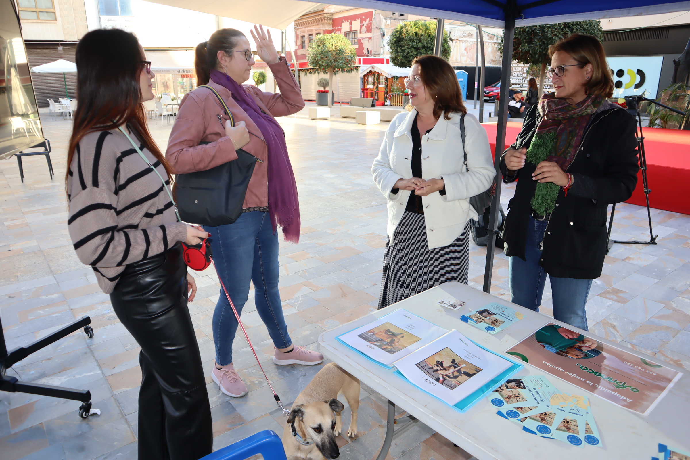Ayuntamiento y Esprineco animan a una adopción responsable de mascotas