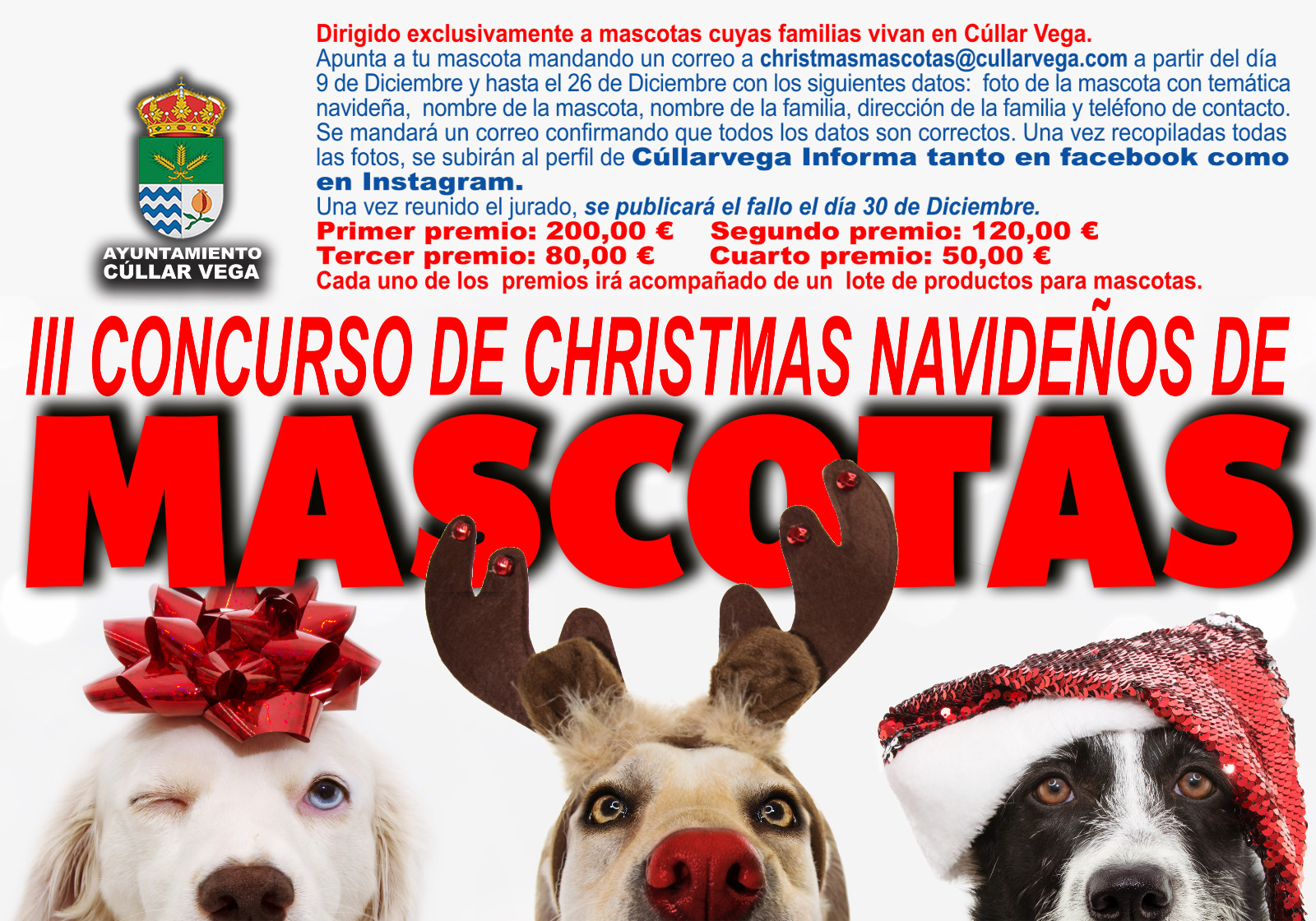 Cúllar Vega premiará las fotos más divertidas en su III concurso de Christmas de Mascotas