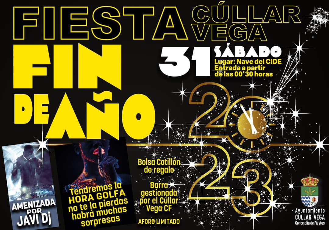 Fiesta Fin de Año 2023