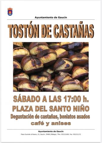 TOSTON 2022