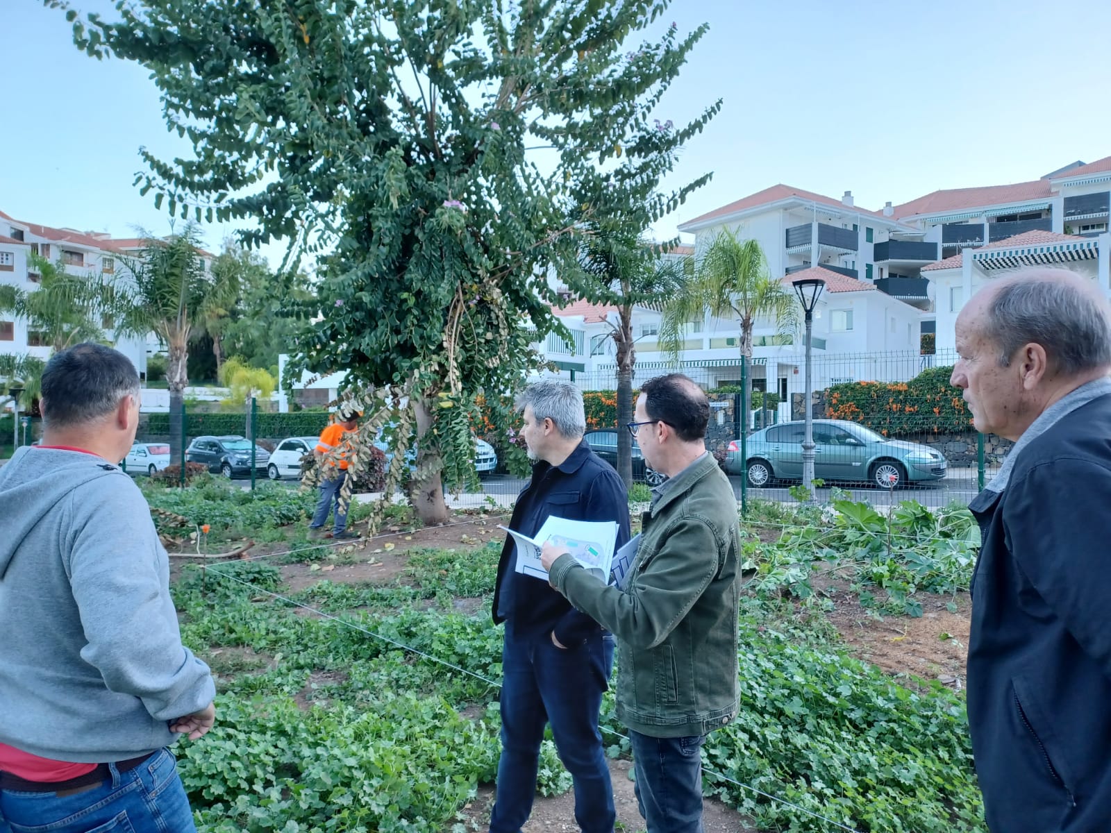 Ciudad Sostenible avanza la mejora del Jardin Quintana, en El Tucán