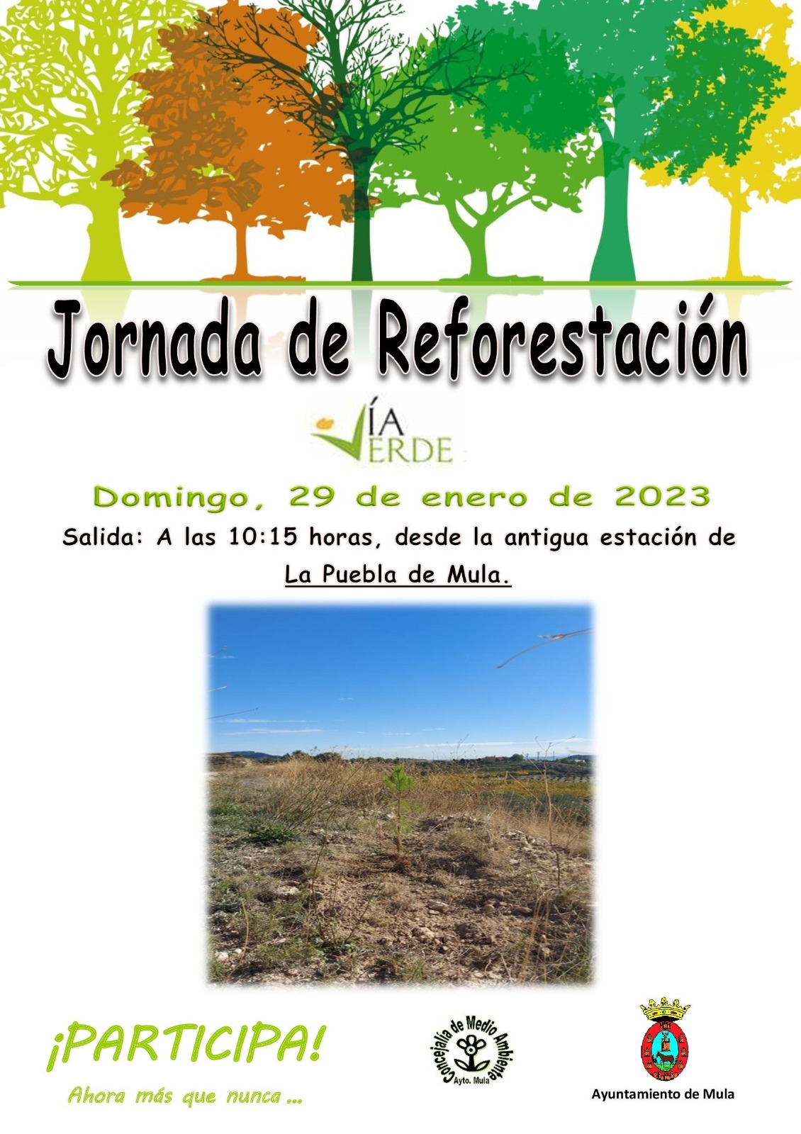 MEDIO AMBIENTE| Jornada de Reforestación Participativa - 29 de enero