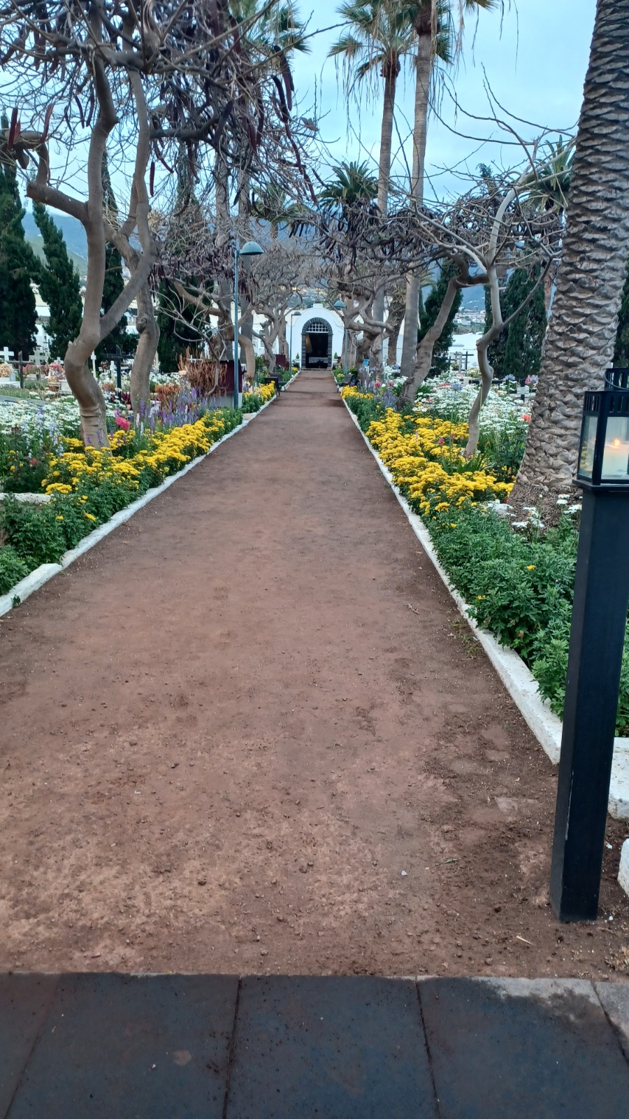 El gobierno aprueba la primera ordenanza del cementerio municipal