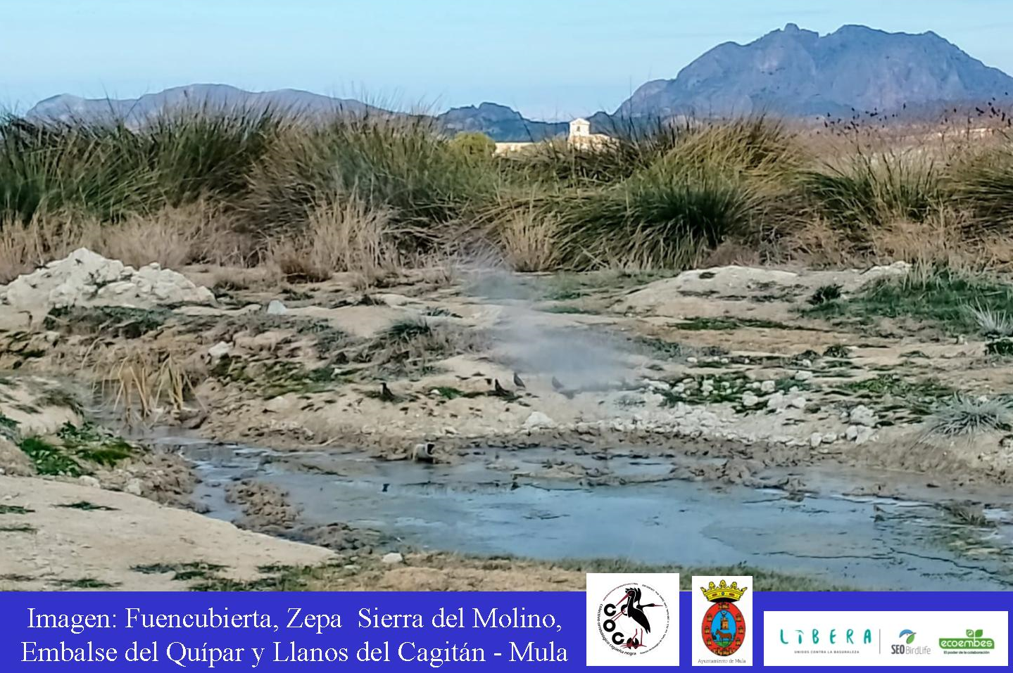 MEDIO AMBIENTE| Testing fotográfico para identificar flora y fauna en Fuencubierta