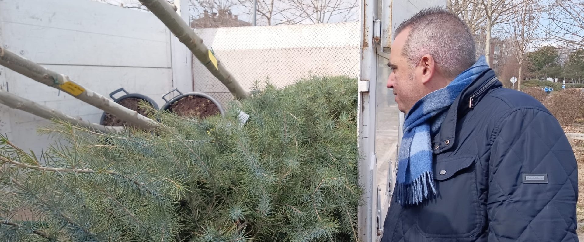 La legislatura finalizará con la plantación de 1.000 árboles a través de los Planes Municipales de Arbolado que se desarrollan desde 2019