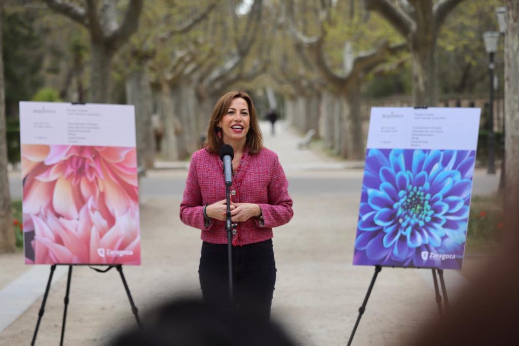 Zaragoza Florece prepara su tercera edición con una apuesta renovada por la belleza, la cultura, el ocio y la búsqueda de nuevos espacios. Noticia. Ayuntamiento de Zaragoza