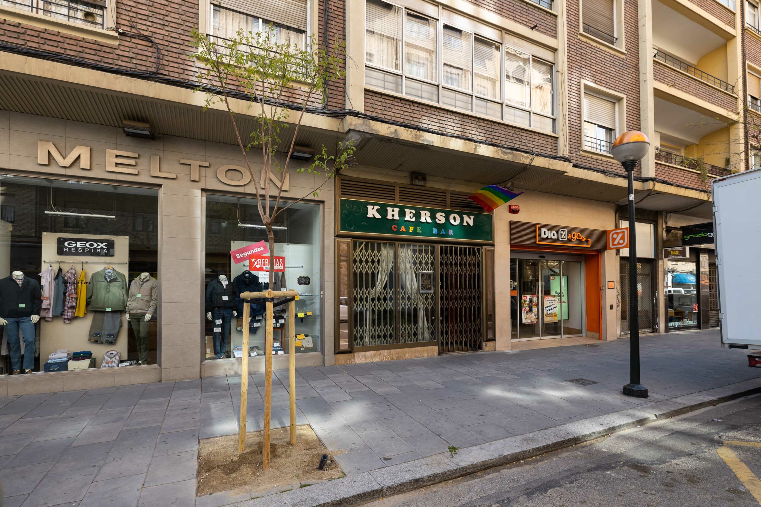 El Plan Extraordinario de reposición de arbolado en alcorques concluye con la plantación de 4.311 ejemplares en toda la ciudad. Noticia. Ayuntamiento de Zaragoza