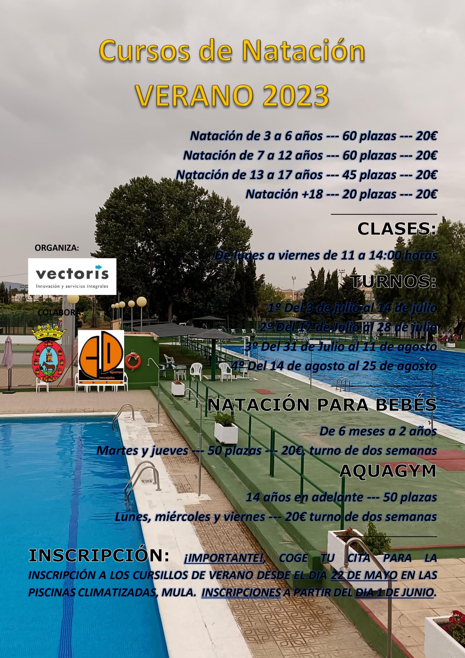 DEPORTES| Cursos de natación en verano