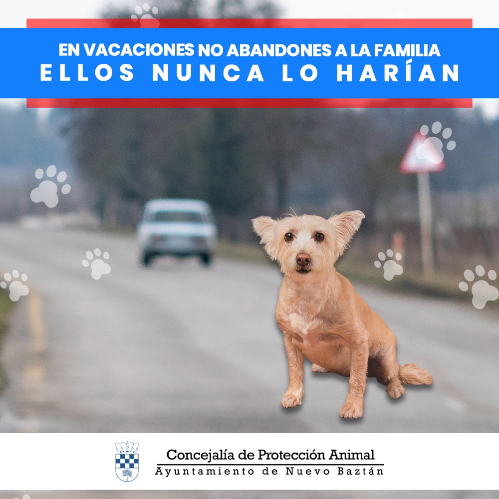 Comienza el verano. ¡Atención especial a nuestras mascotas!