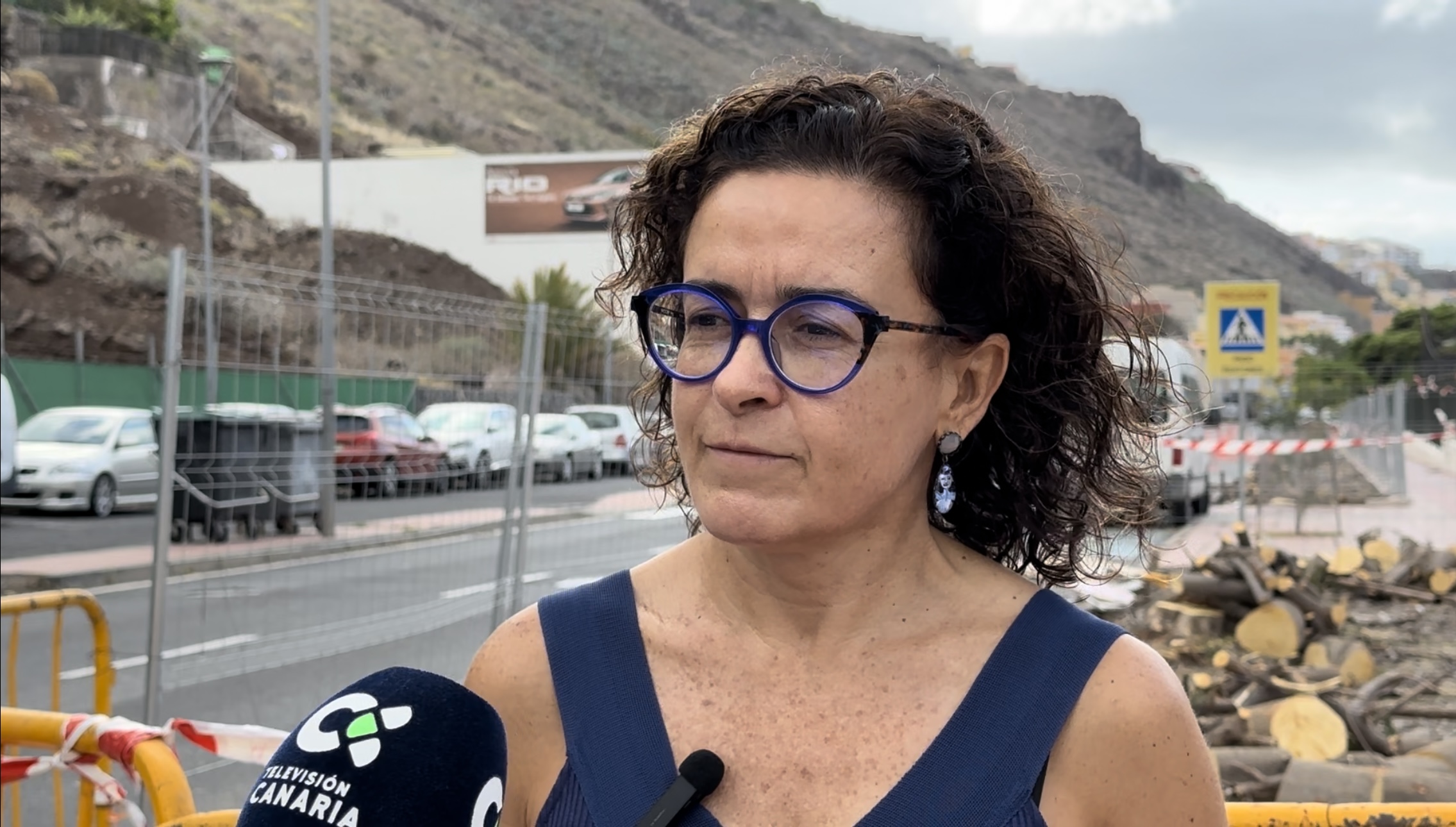 El Ayuntamiento de San Sebastián plantará especies nativas en los jardines de la Avenida José Aguiar 