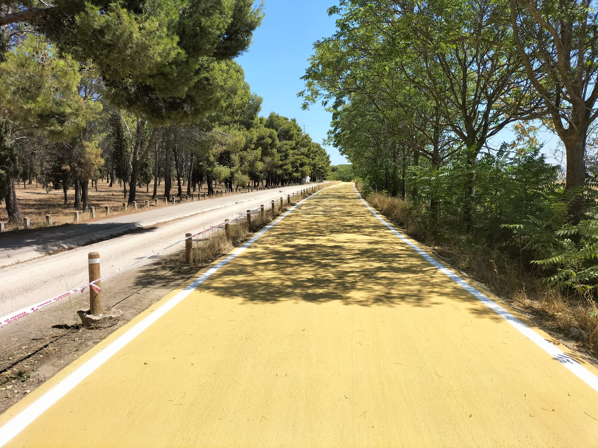 Mañana se abre la vía pecuaria de la Vereda de la Torrecilla tras los trabajos de reparación