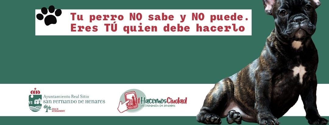 Nueva campaña para sensibilizar sobre la importancia de recoger excrementos y orines caninos