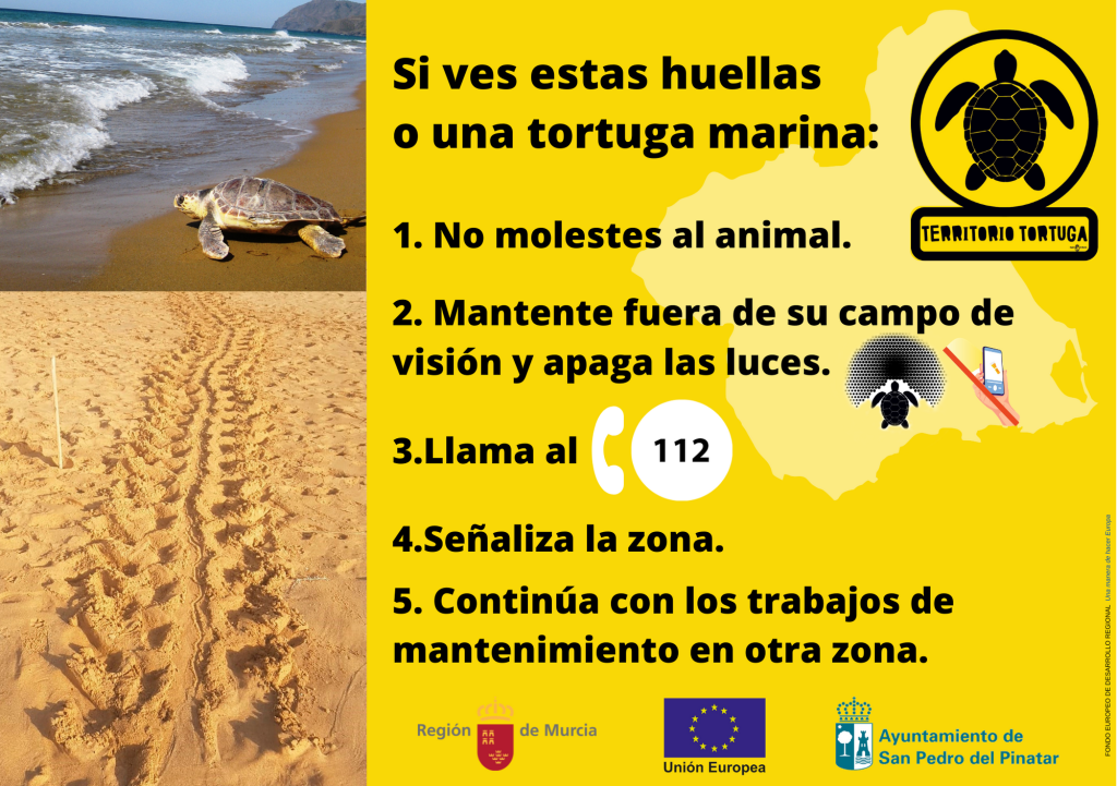 San Pedro del Pinatar, Territorio Tortuga