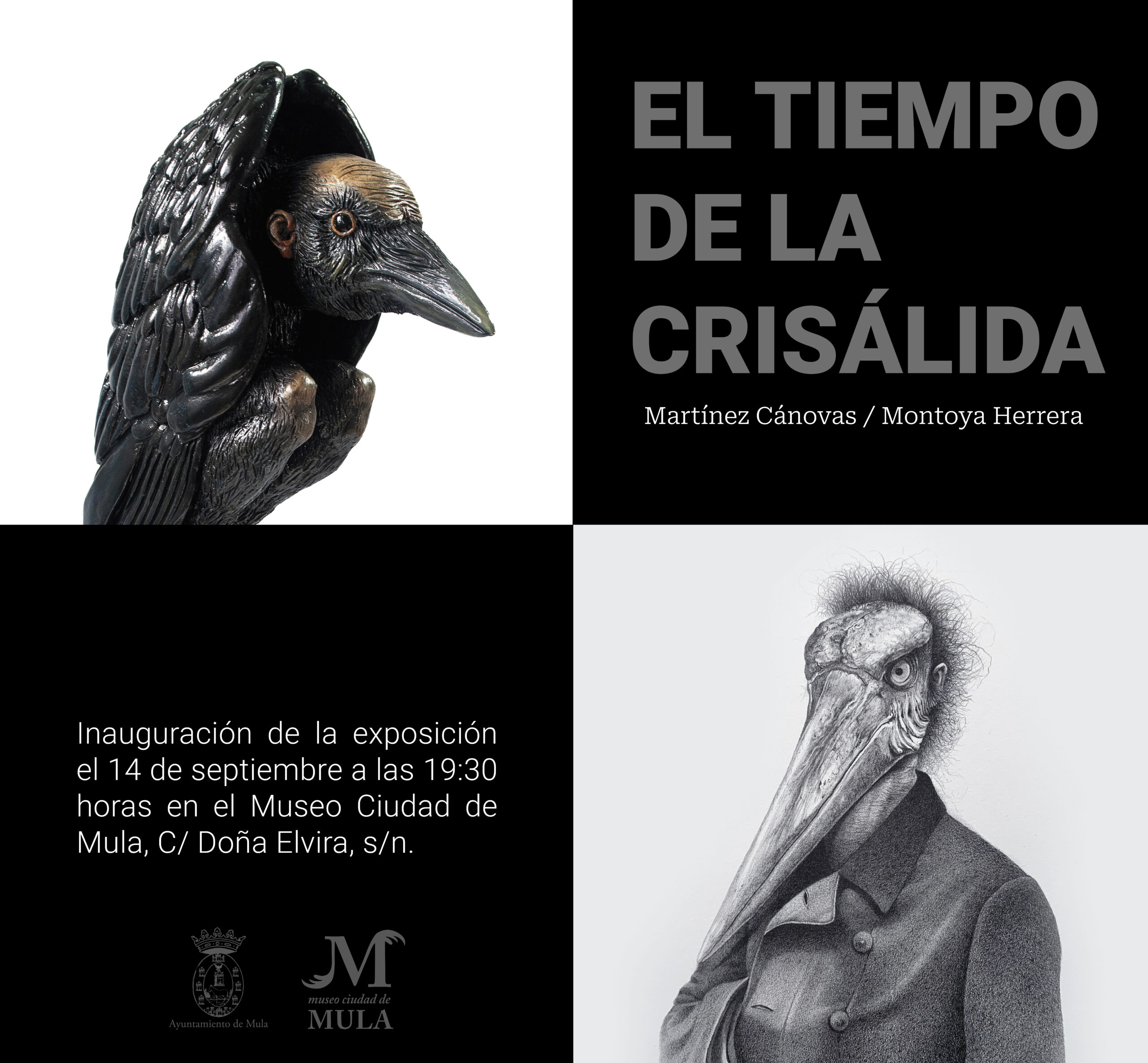 CULTURA| El Museo Ciudad de Mula acoge 'El tiempo de la crisálida', una exposición bicéfala