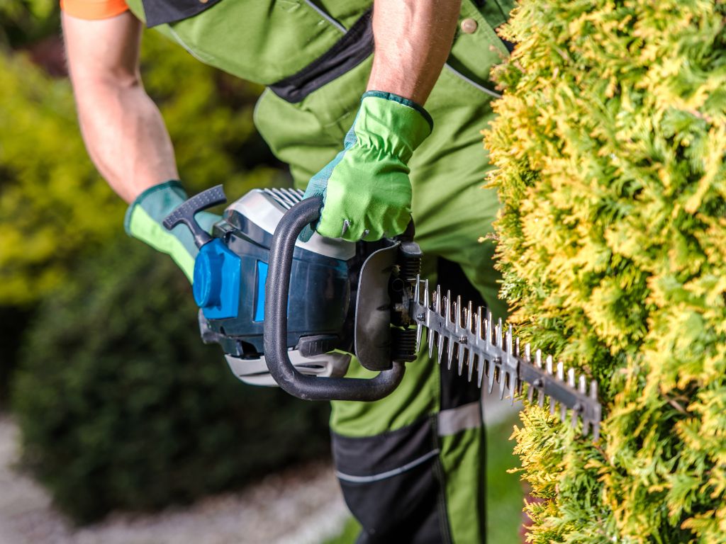 El Ayuntamiento formará en jardinería a 15 jóvenes a través del PMEF “Sabina de las dunas”