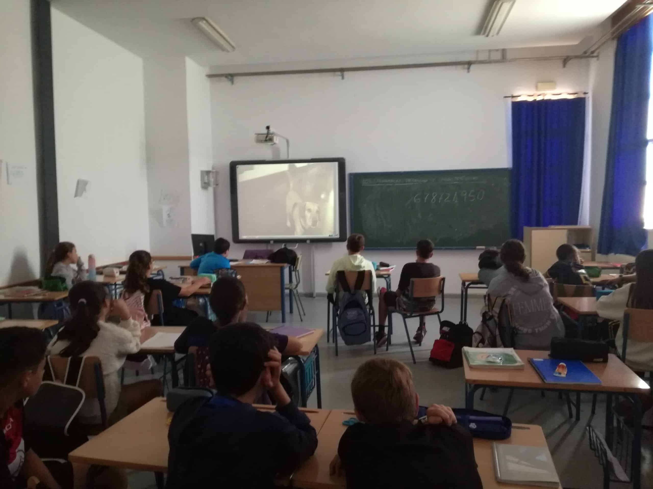 La Delegación de Juventud continúa trabajando en diversos programas y actividades para nuestros jóvenes. – Cazalla de la Sierra
