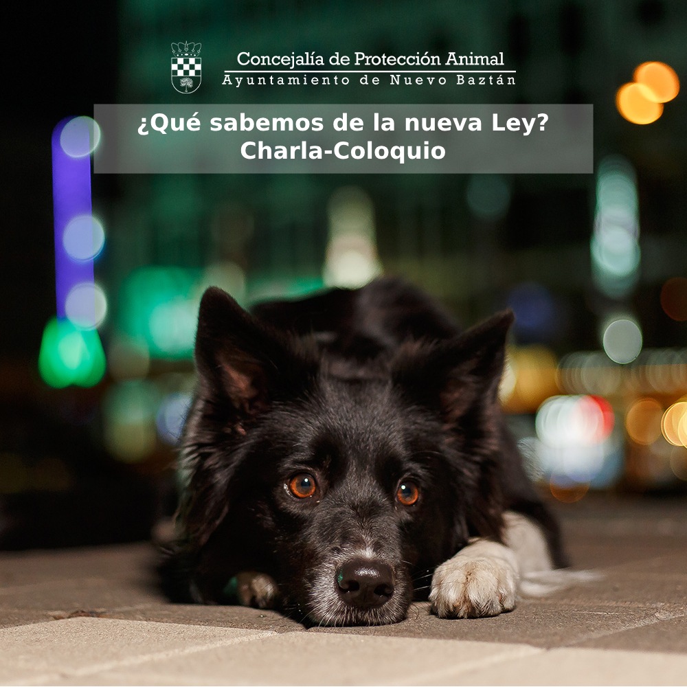 Charla-Coloquio sobre la nueva Ley de Bienestar Animal