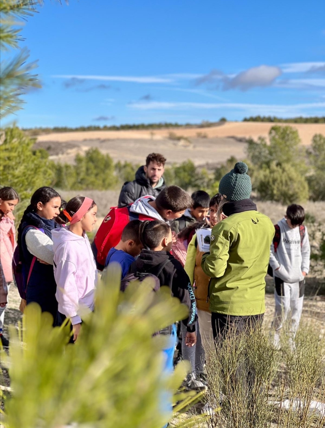 Más de 1.500 escolares protagonizan este mes las plantaciones del Bosque de los Zaragozanos. Noticia. Ayuntamiento de Zaragoza