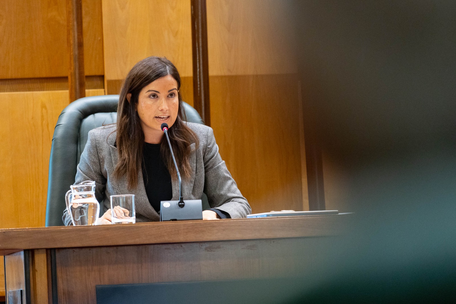 El impulso a la estrategia de neutralidad climática marca el proyecto de Presupuesto para el área de Medio Ambiente y Movilidad. Noticia. Ayuntamiento de Zaragoza
