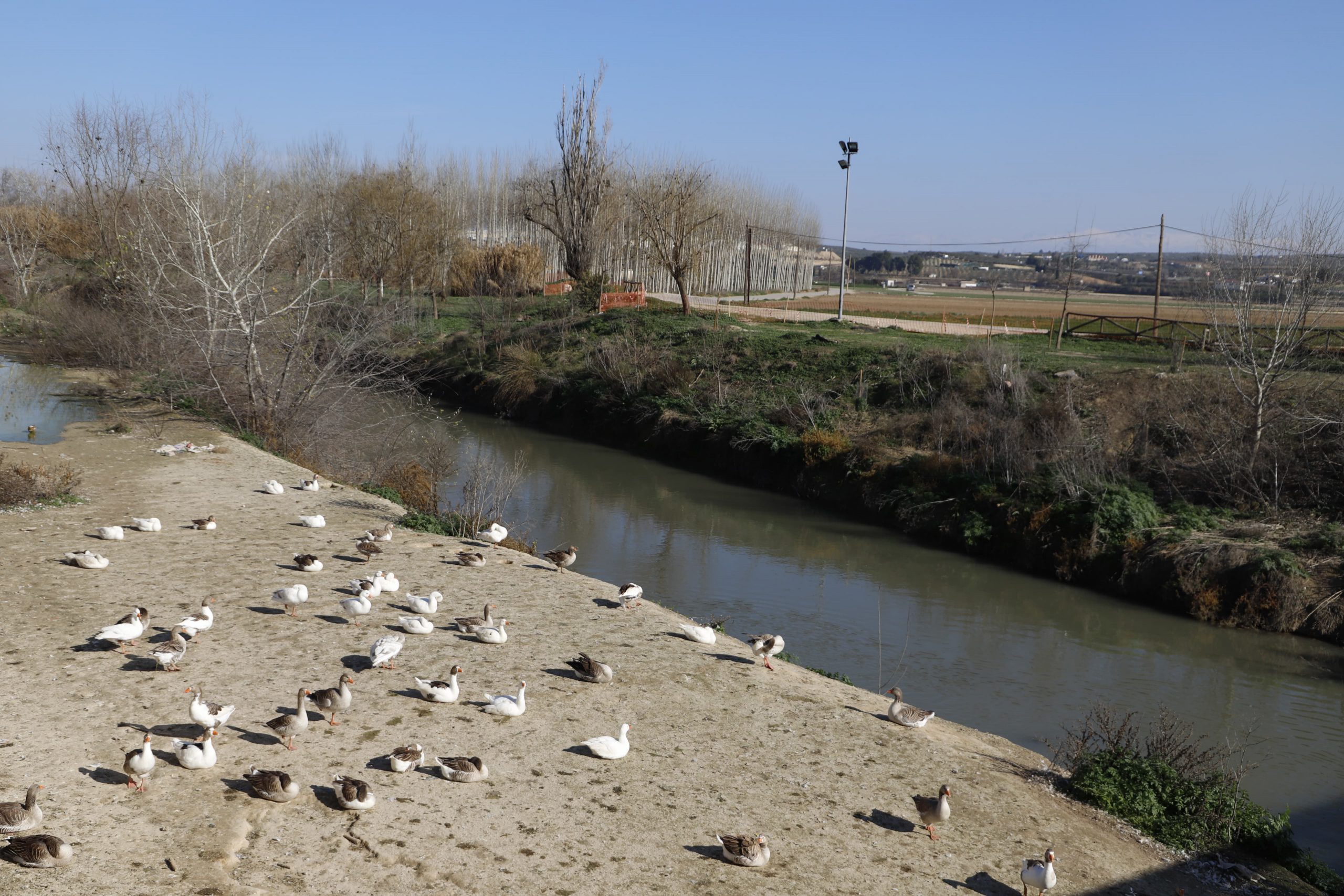Huétor Tájar busca voluntarios ambientales para mejorar la conservación del río Genil